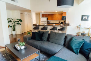Interior Designed living room in a Center City apartment